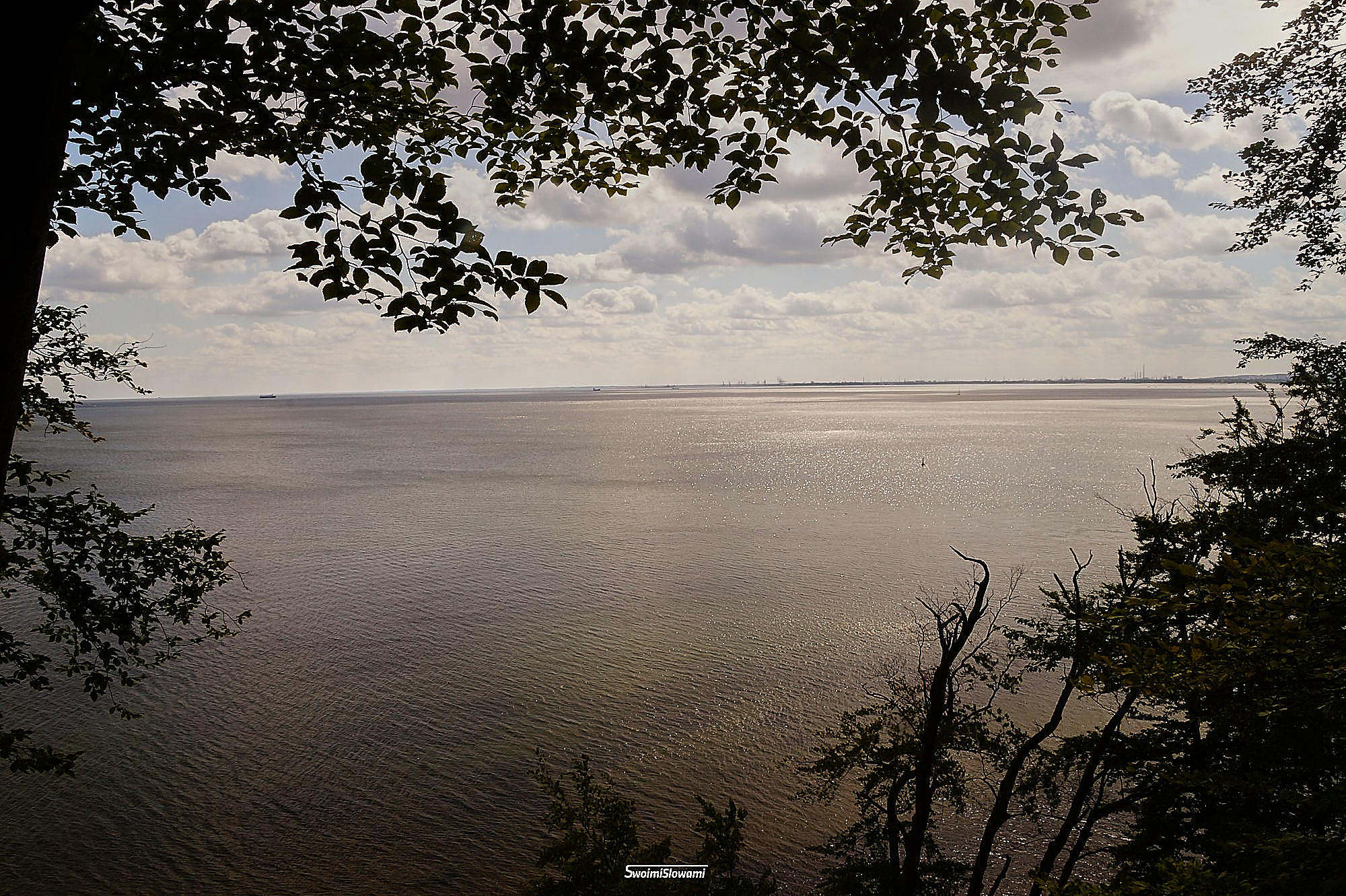 Gdynia Orlowo Klif 8.jpg